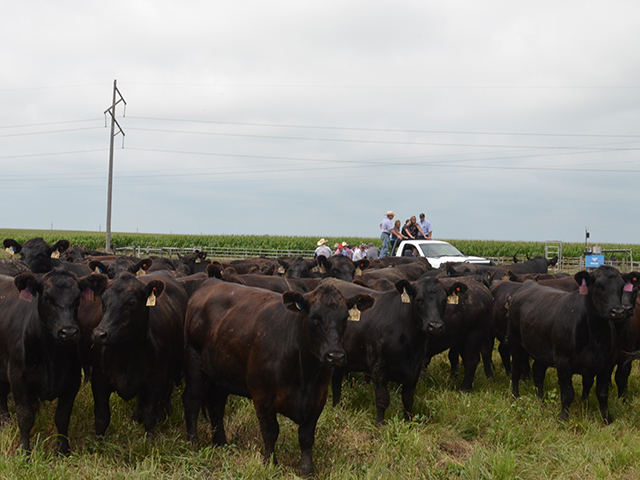 Nebraska&#039;s Bruning Farms hosted some of the best seedstock producers from across the country, as Allflex announced the commercial release of its new ear tag monitoring system. (DTN/Progressive Farmer photo by Victoria G. Myers)